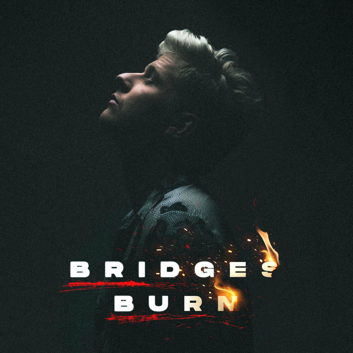 Album cover of Bridges Burn