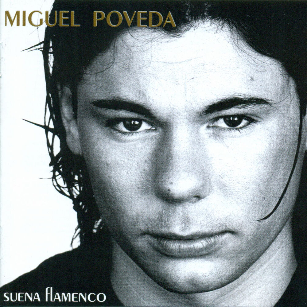 Picture of Suena Flamenco