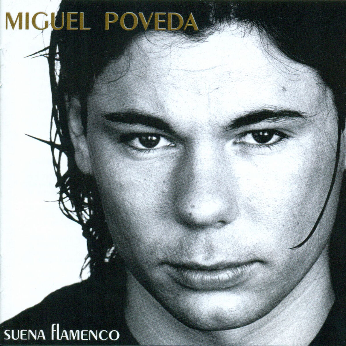 Album cover of Suena Flamenco
