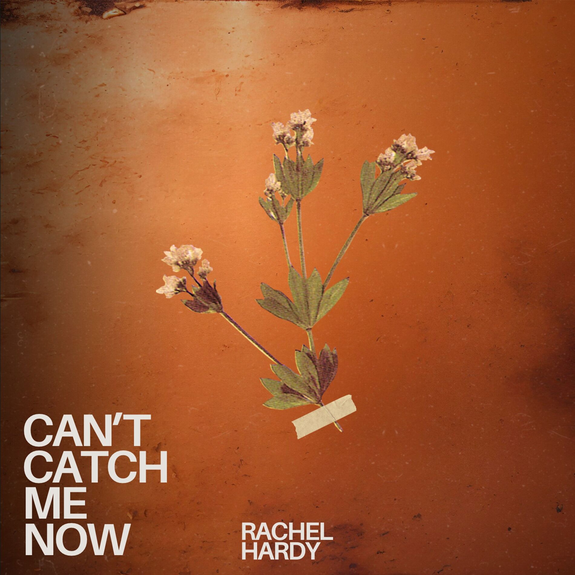 Album cover of Can't Catch Me Now