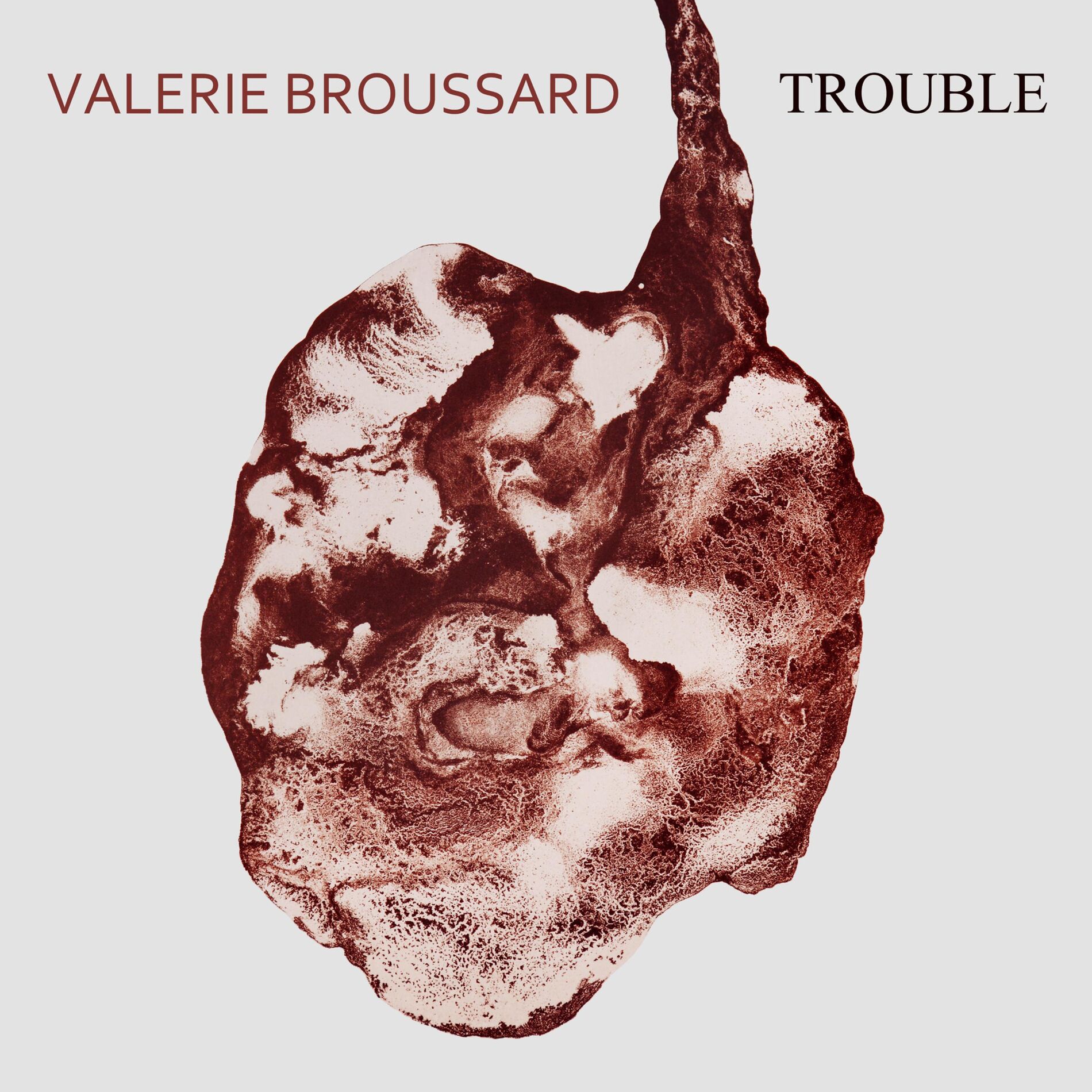 Album cover of Trouble