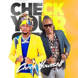 Cover of Check Yourself