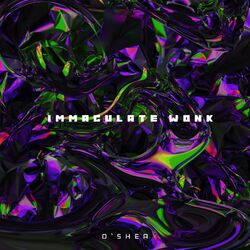 Cover of Immaculate Wonk