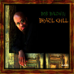 Cover of Brazil Chill