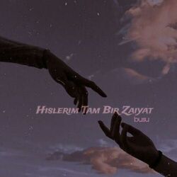 Cover of hislerim tam bir zayiat
