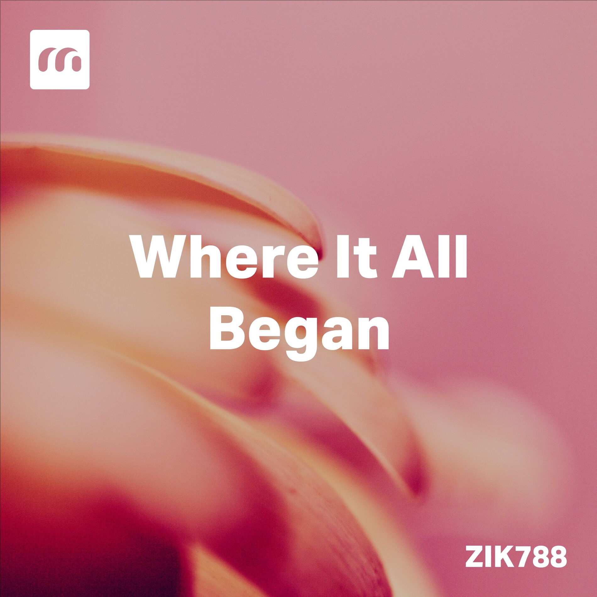 Album cover of Where It All Began