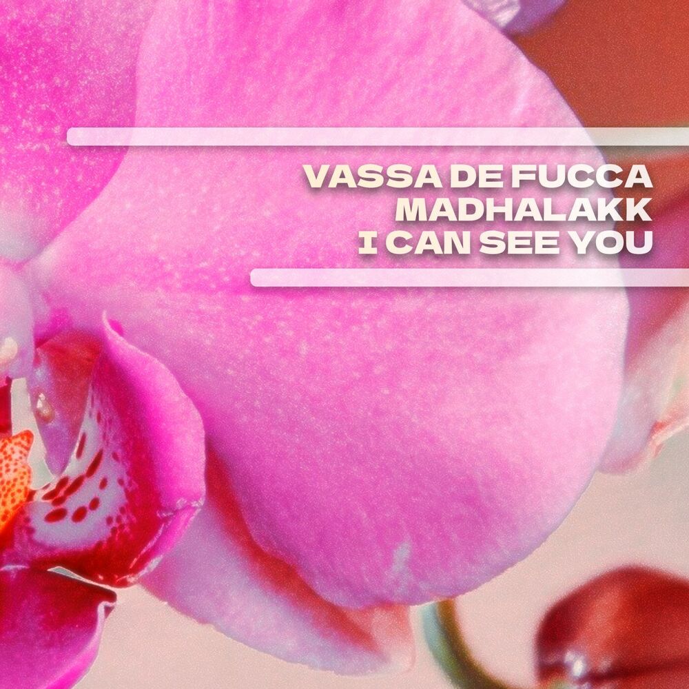 Picture of I Can See You