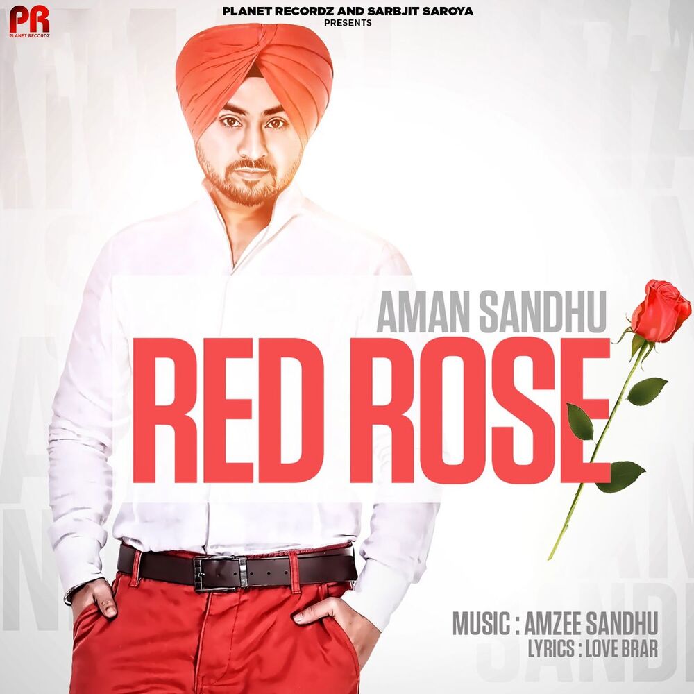 Picture of Red Rose