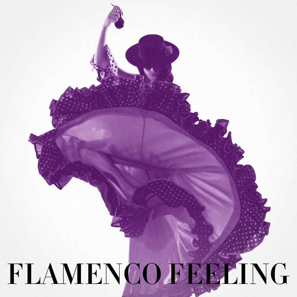 Picture of Flamenco Feeling
