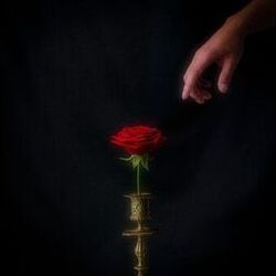 music cover