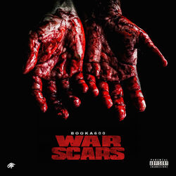 Cover of War Scars