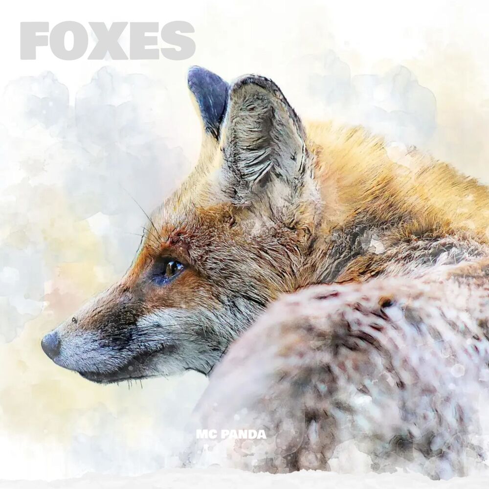 Picture of FOXES