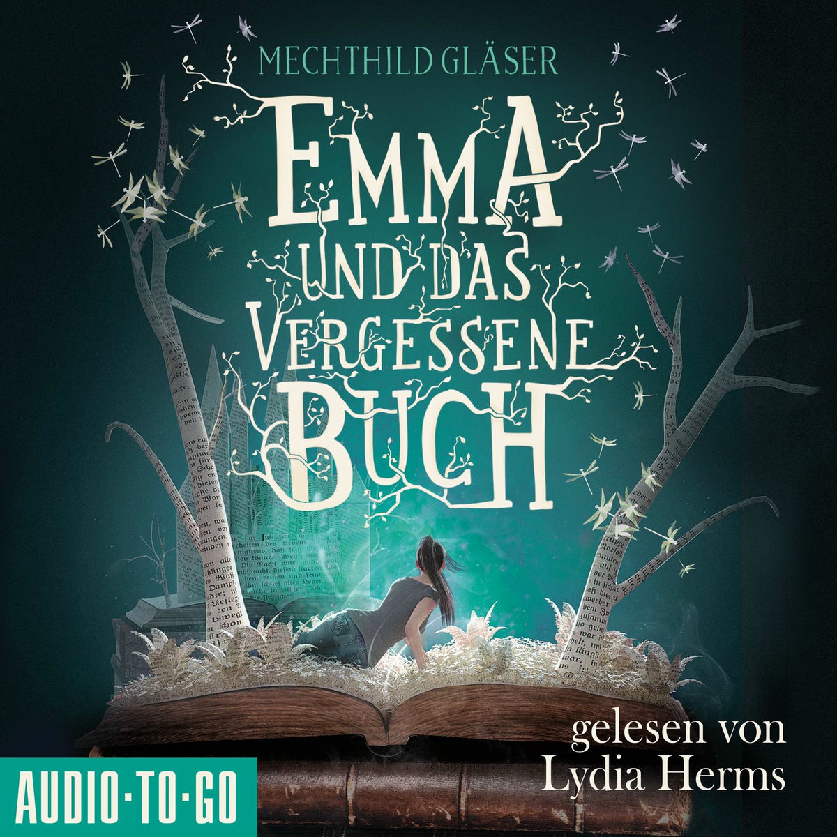 Album cover of Emma und das vergessene Buch (Ungekürzt)