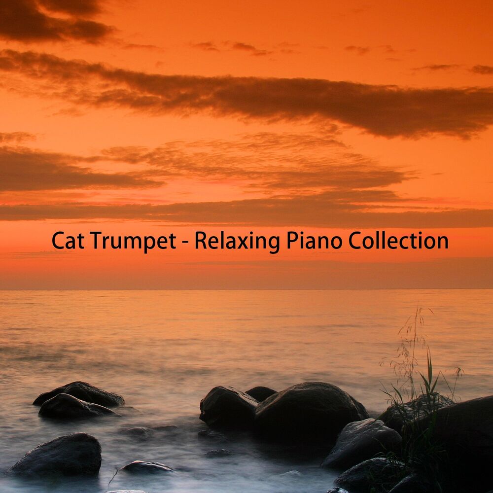 Picture of Relaxing Piano Collection
