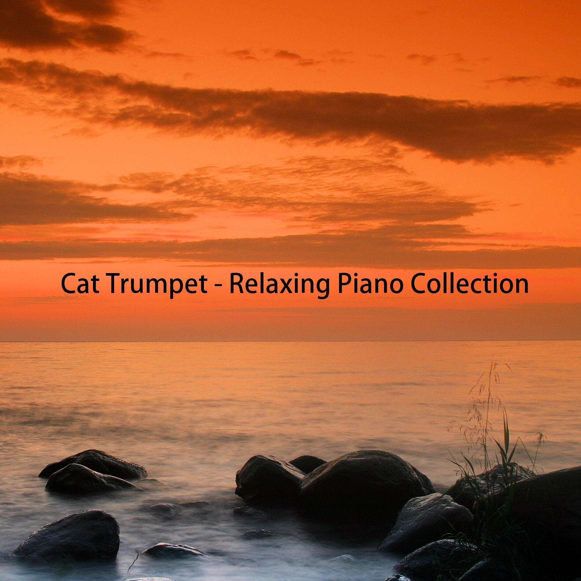 Album cover of Relaxing Piano Collection