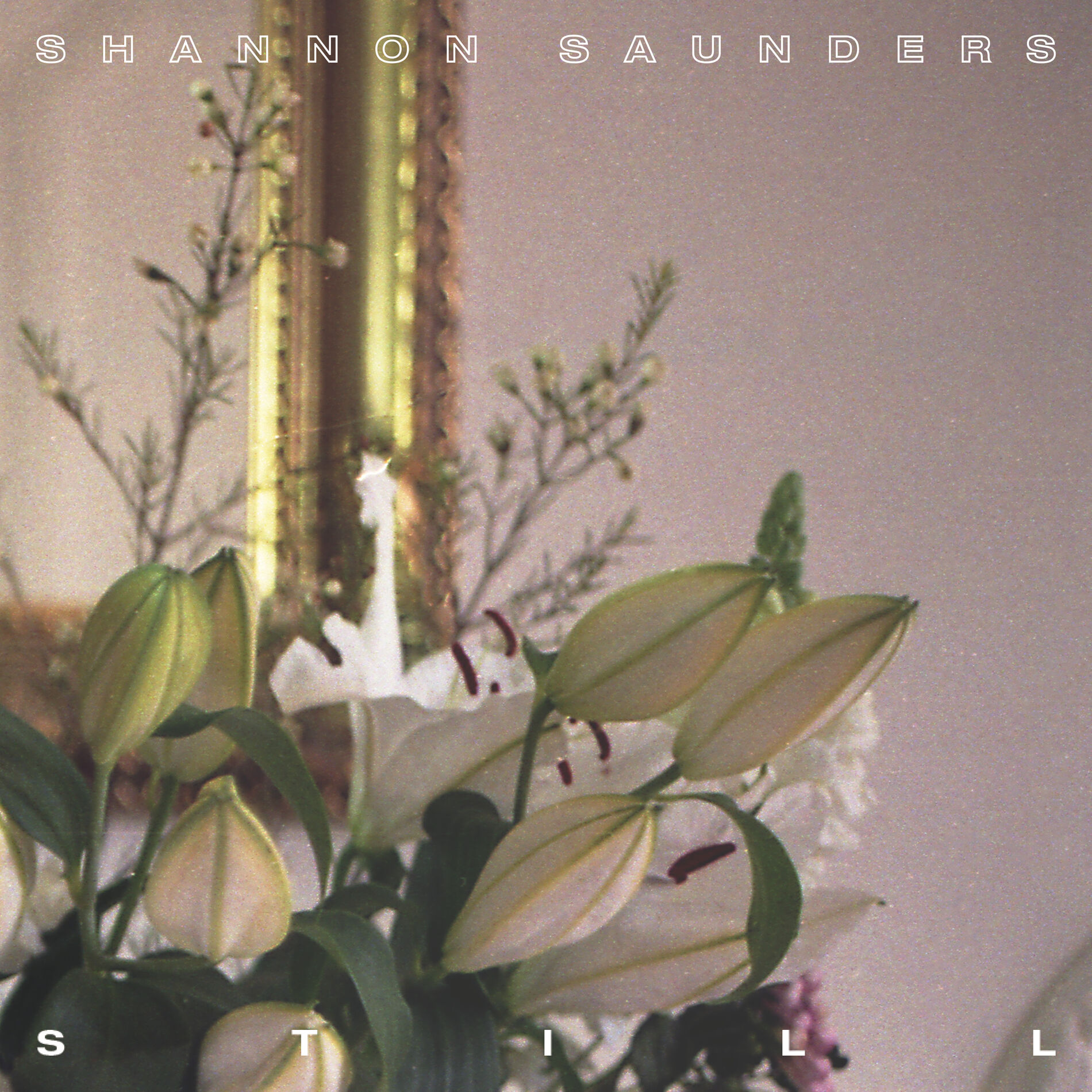 Album cover of Still