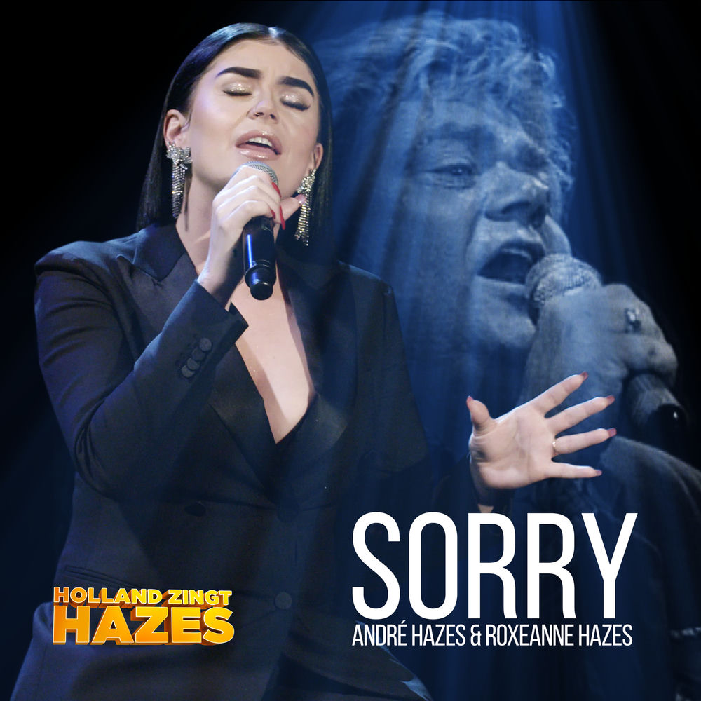 Sorry (Holland Zingt Hazes) album cover