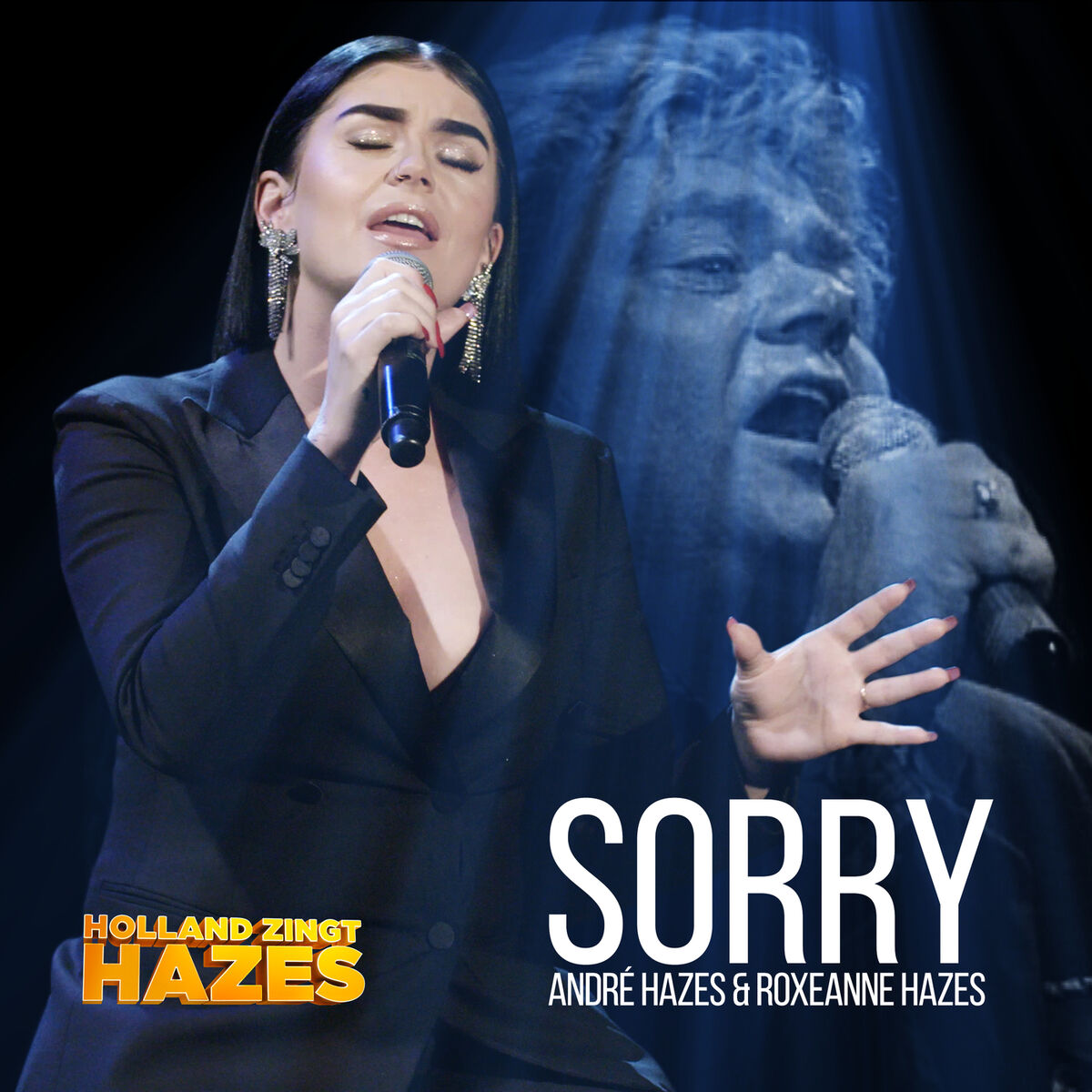 Album cover of Sorry (Holland Zingt Hazes)