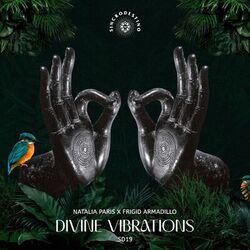 Cover of Divine Vibrations