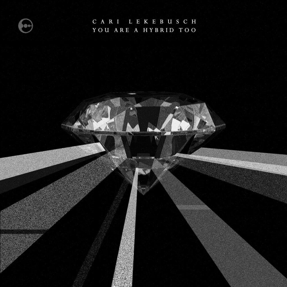 Picture of Cari Lekebusch - You Are A Hybrid Too (MP3 Compilation)