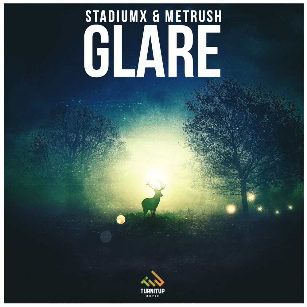 Picture of Glare