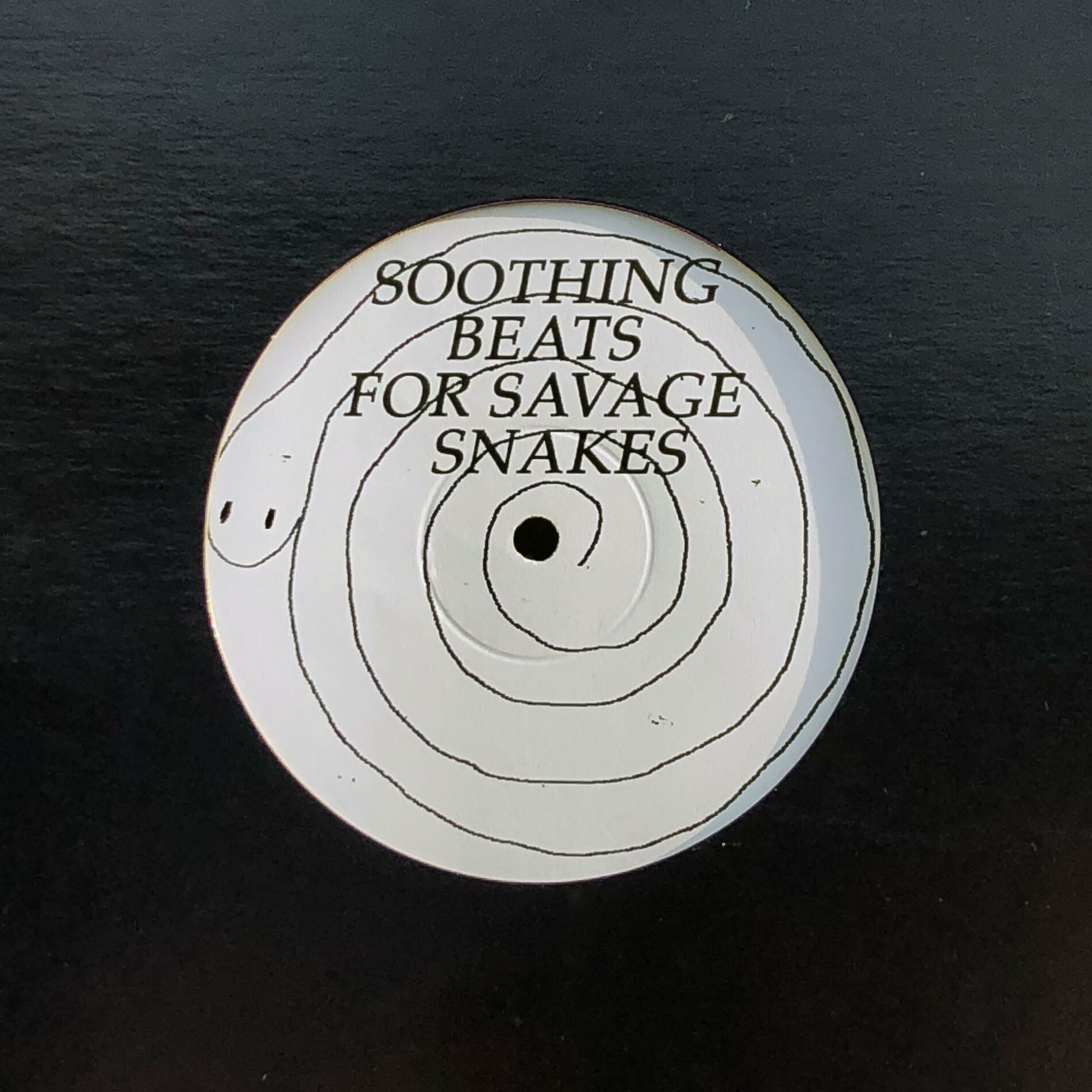 Album cover of Soothing Beats for Savage Snakes