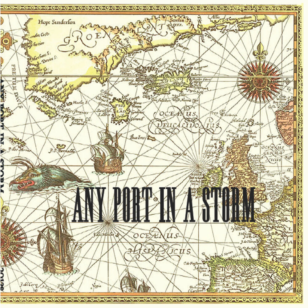 Picture of Any Port in a Storm