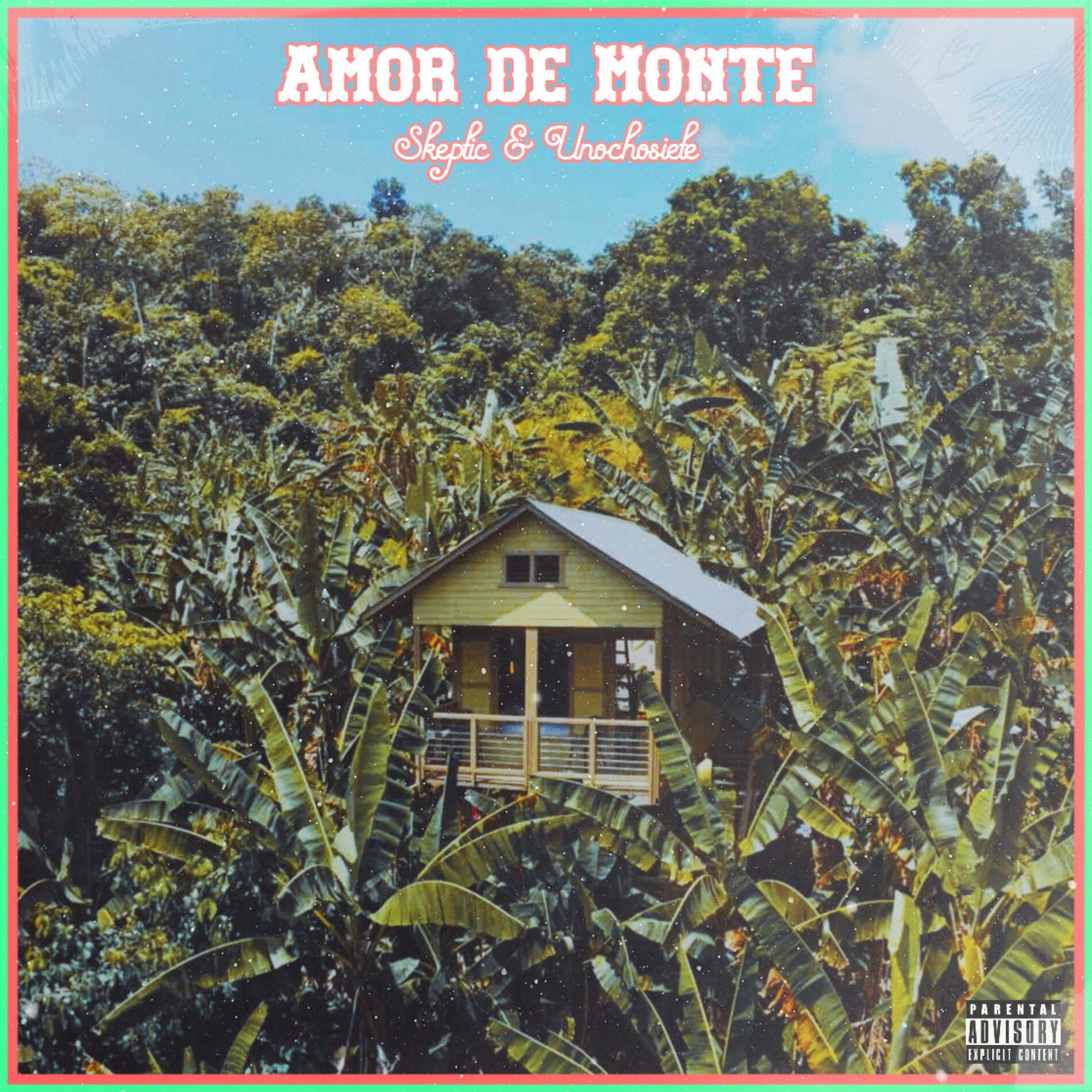 Album cover of Amor de Monte