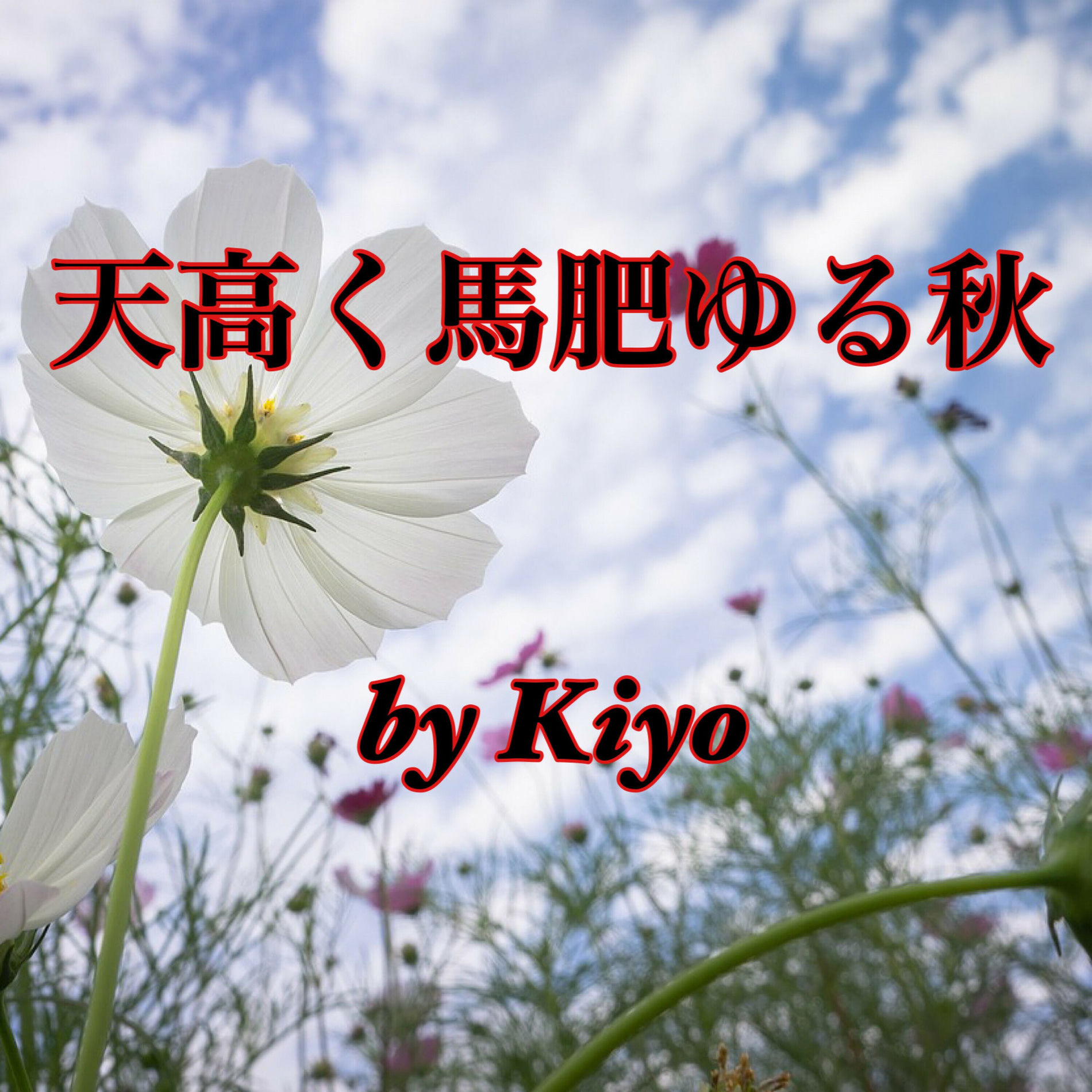 Kiyo: albums, songs, concerts | Deezer