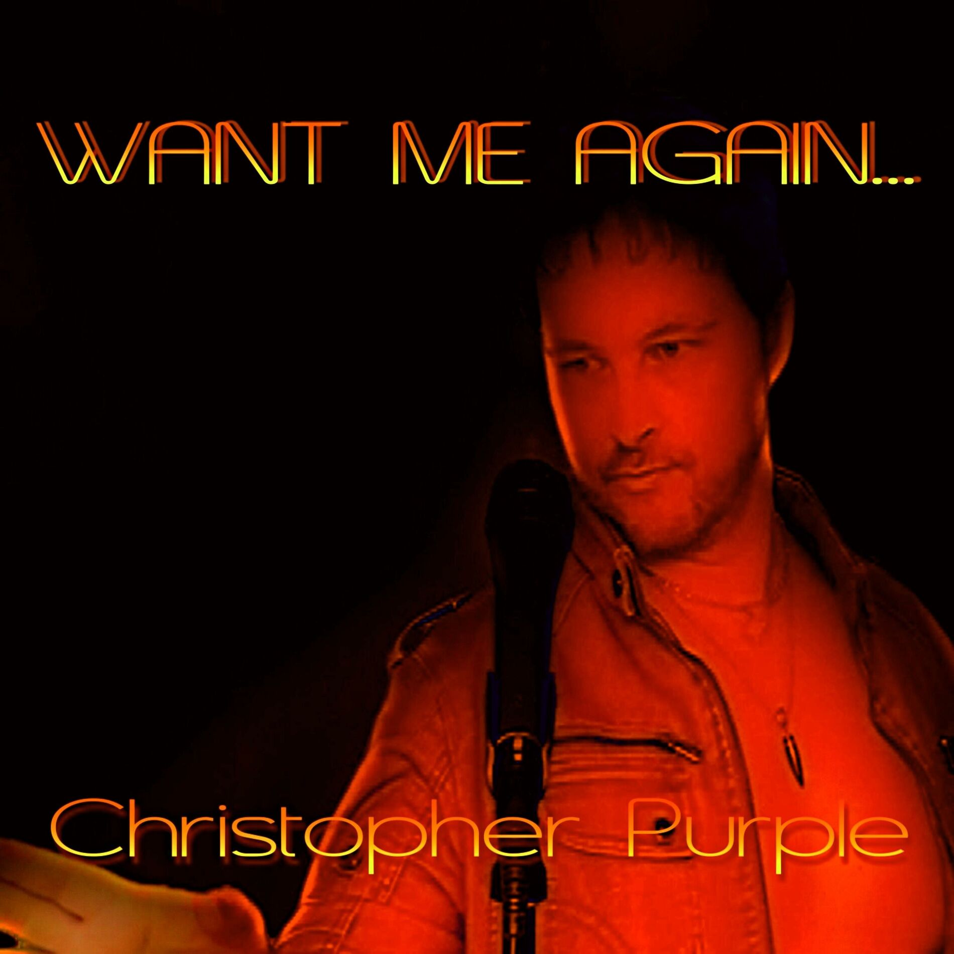 Album cover of Want Me Again...