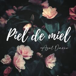 Cover of Piel de Miel