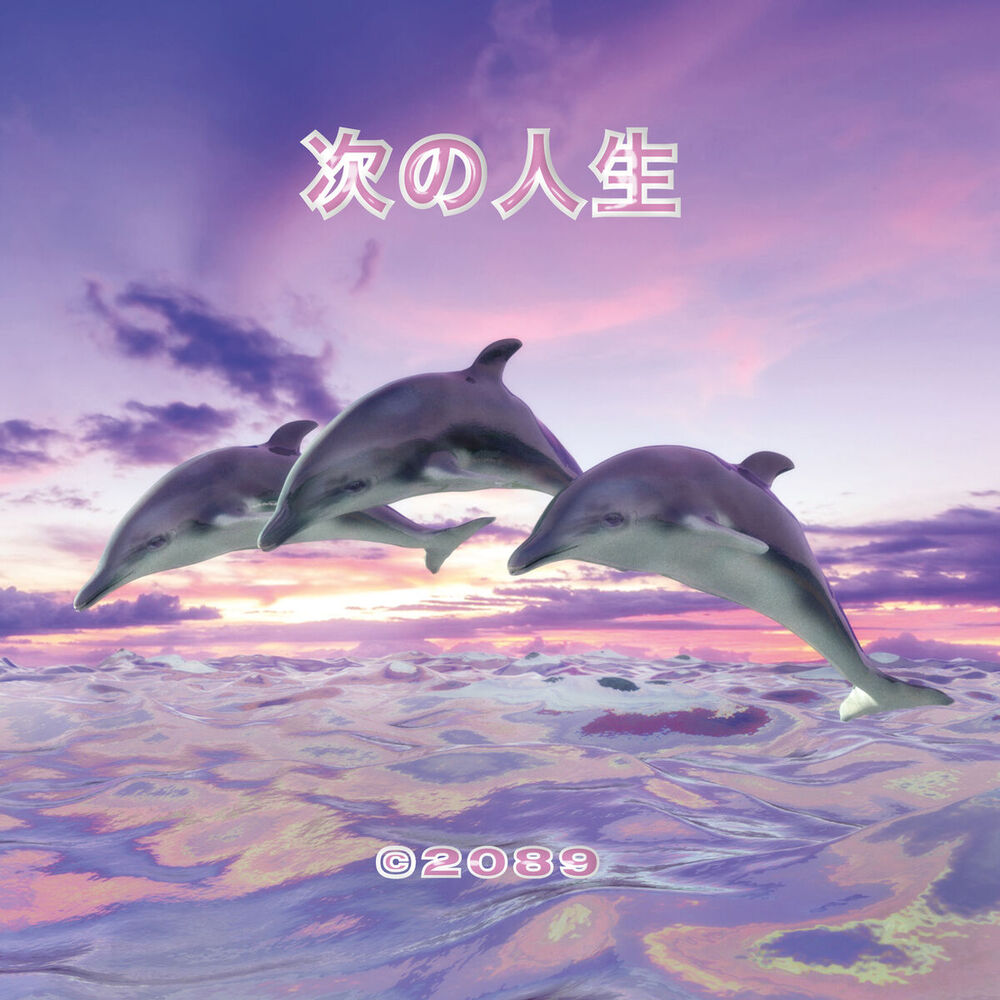Picture of Next Life