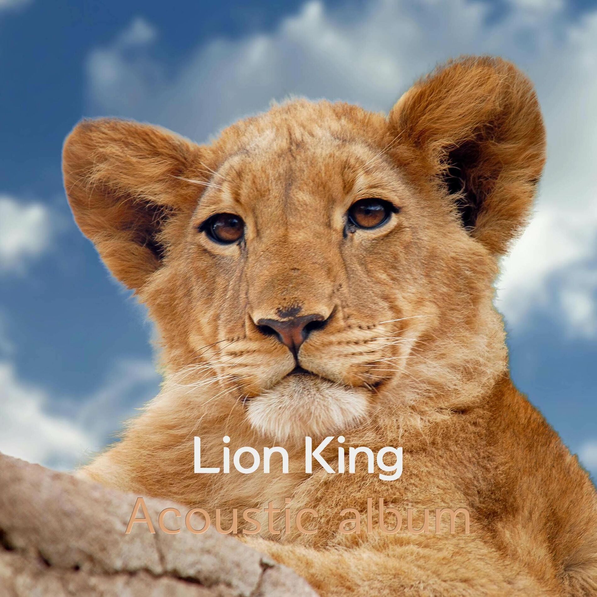Album cover of The Lion King (Acoustic)
