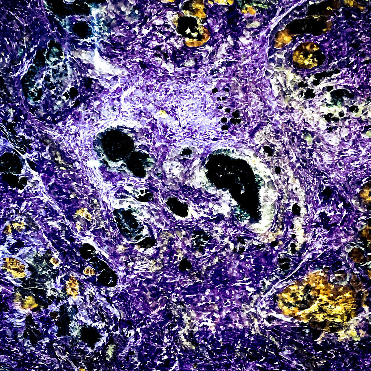 Album cover of Scalatrax