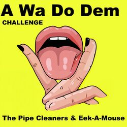 Cover of A Wa Do Dem Challenge