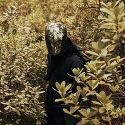 Cover of Lumino Forest