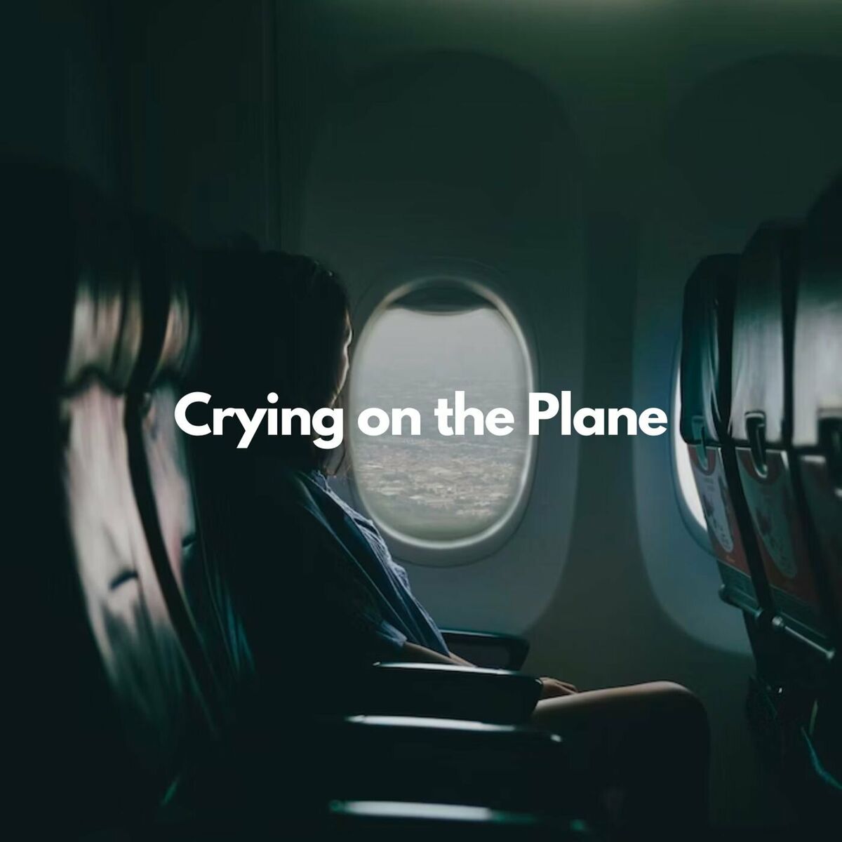 Album cover of Crying on the Plane