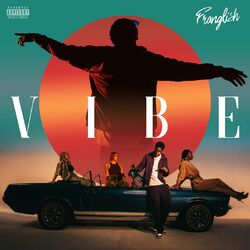 Cover of Vibe