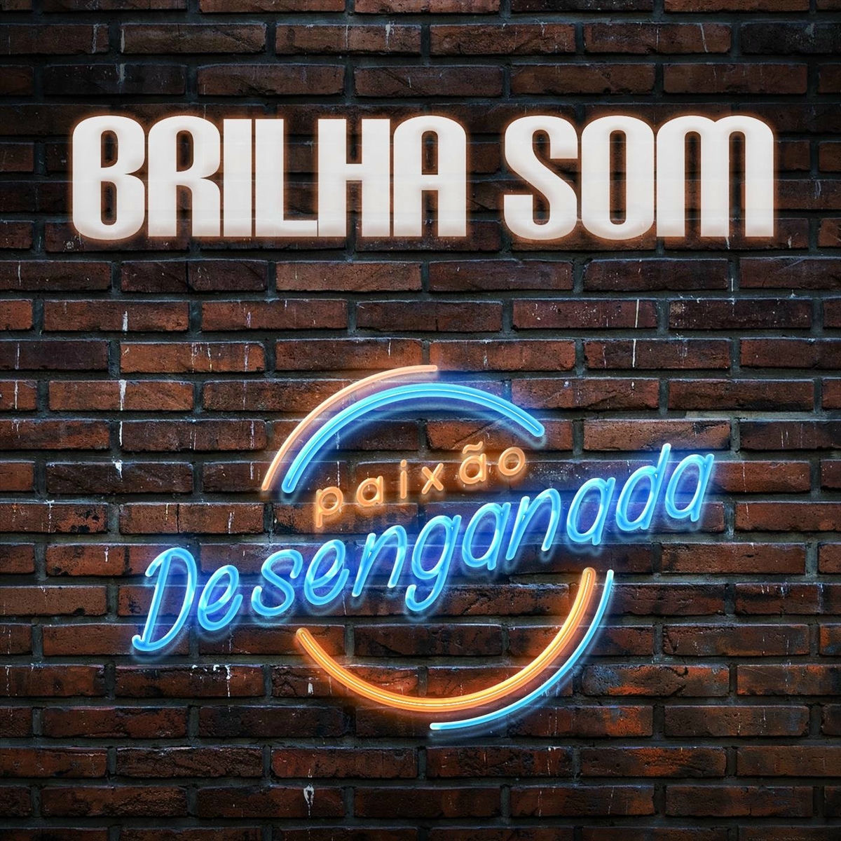 Album cover of Paixão Desenganada