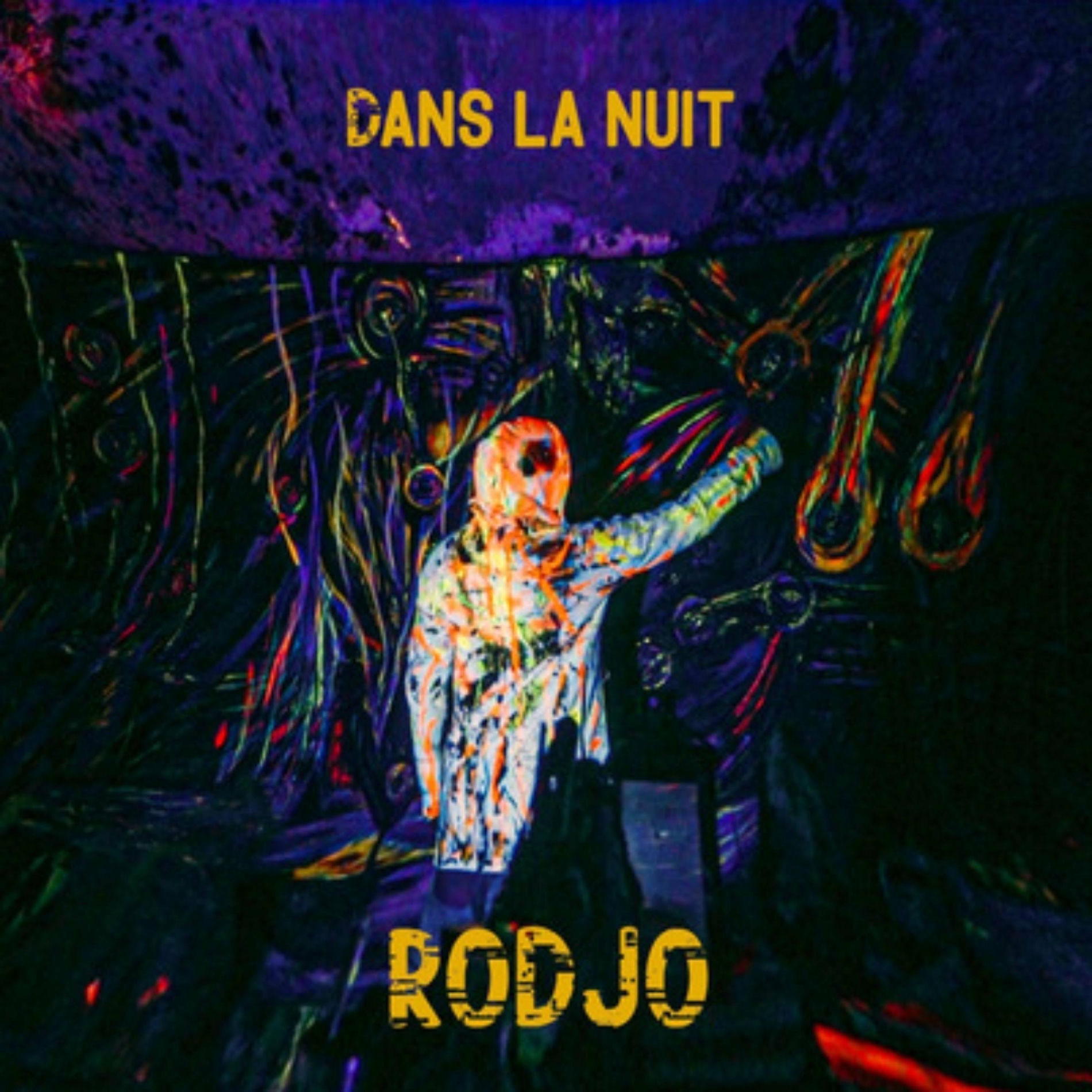 Album cover of Dans la nuit