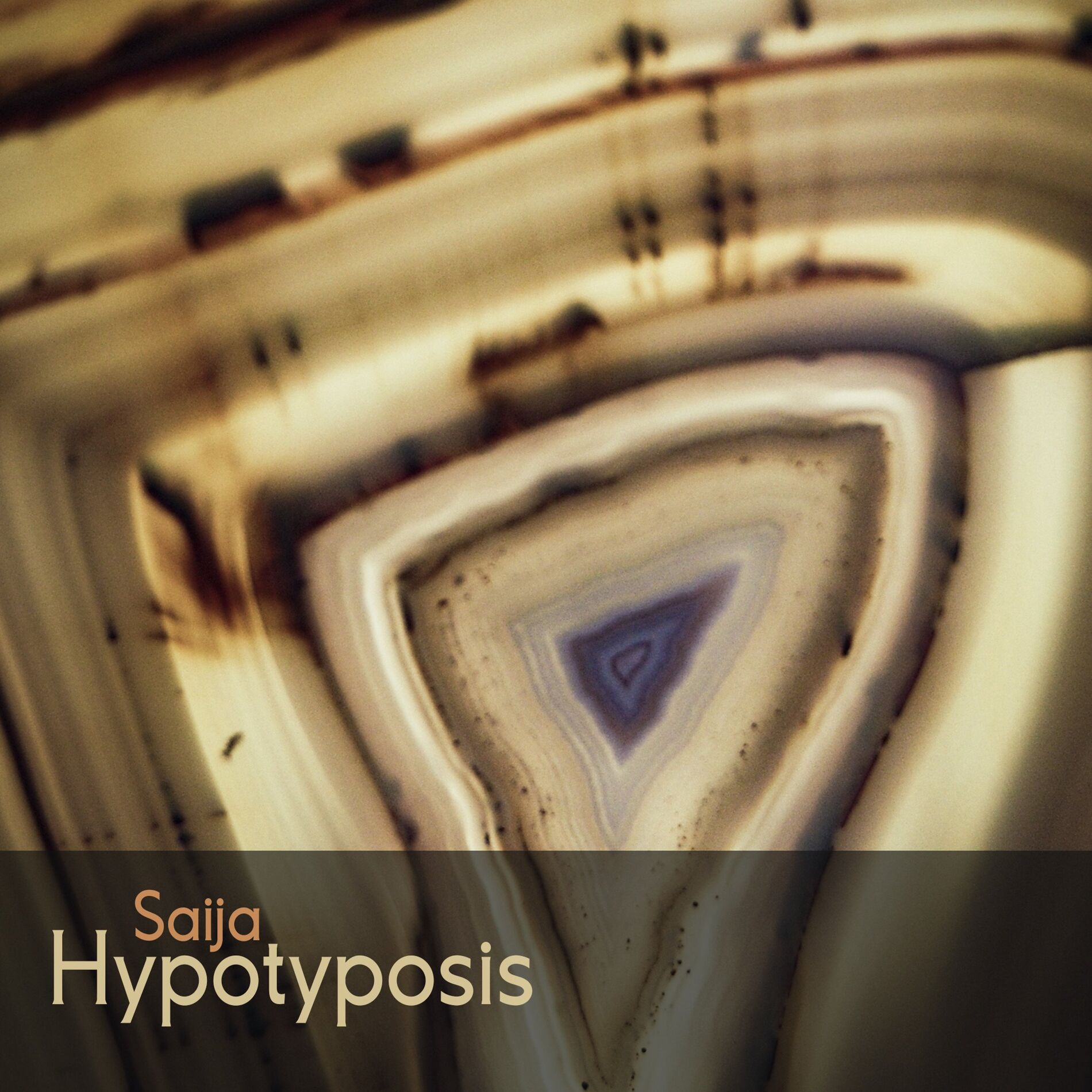 Album cover of Hypotyposis