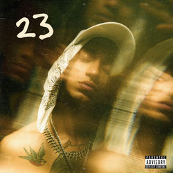Cover of 23 by undefined