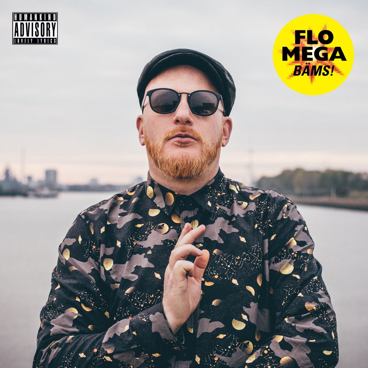 Album cover of Ferddich