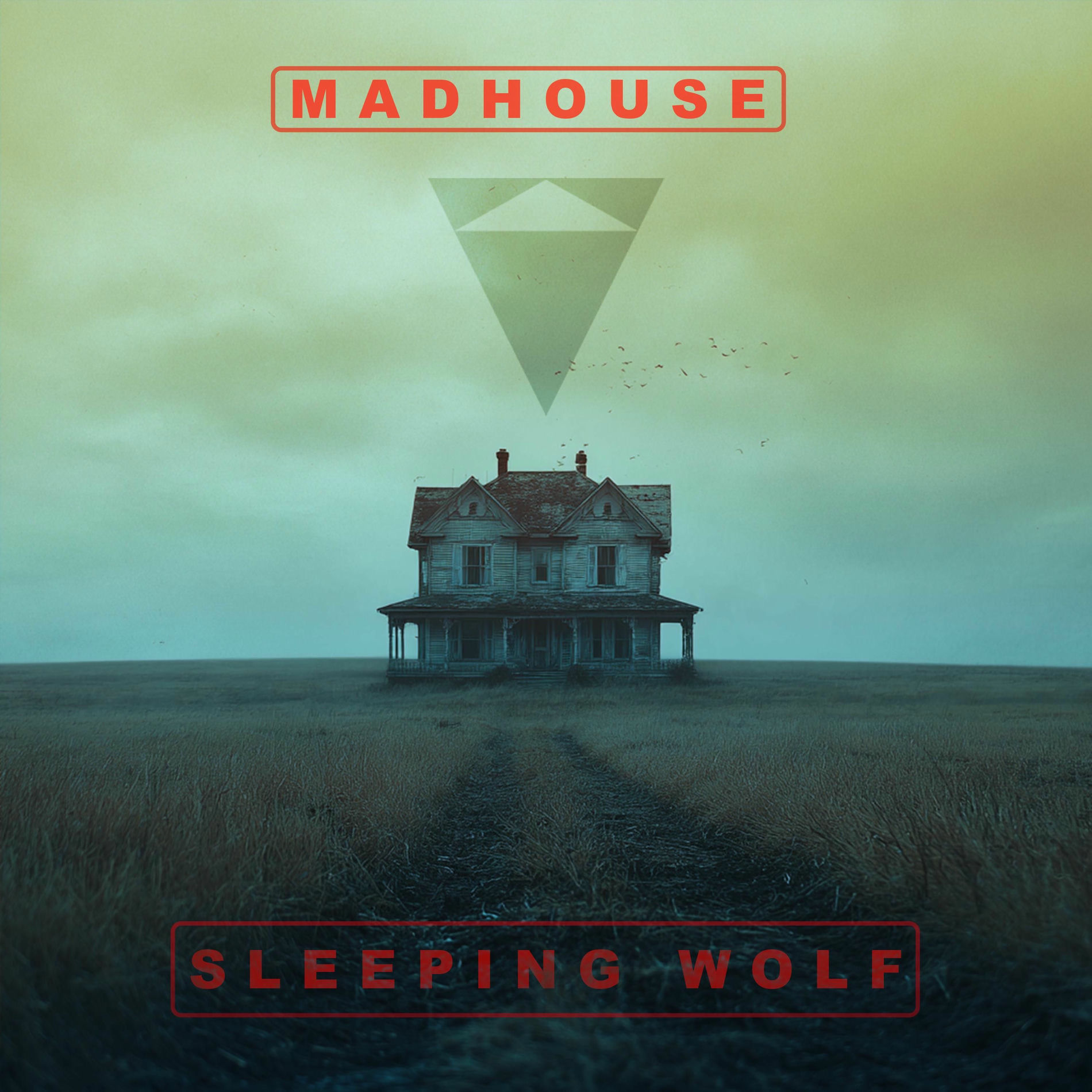 Album cover of Madhouse