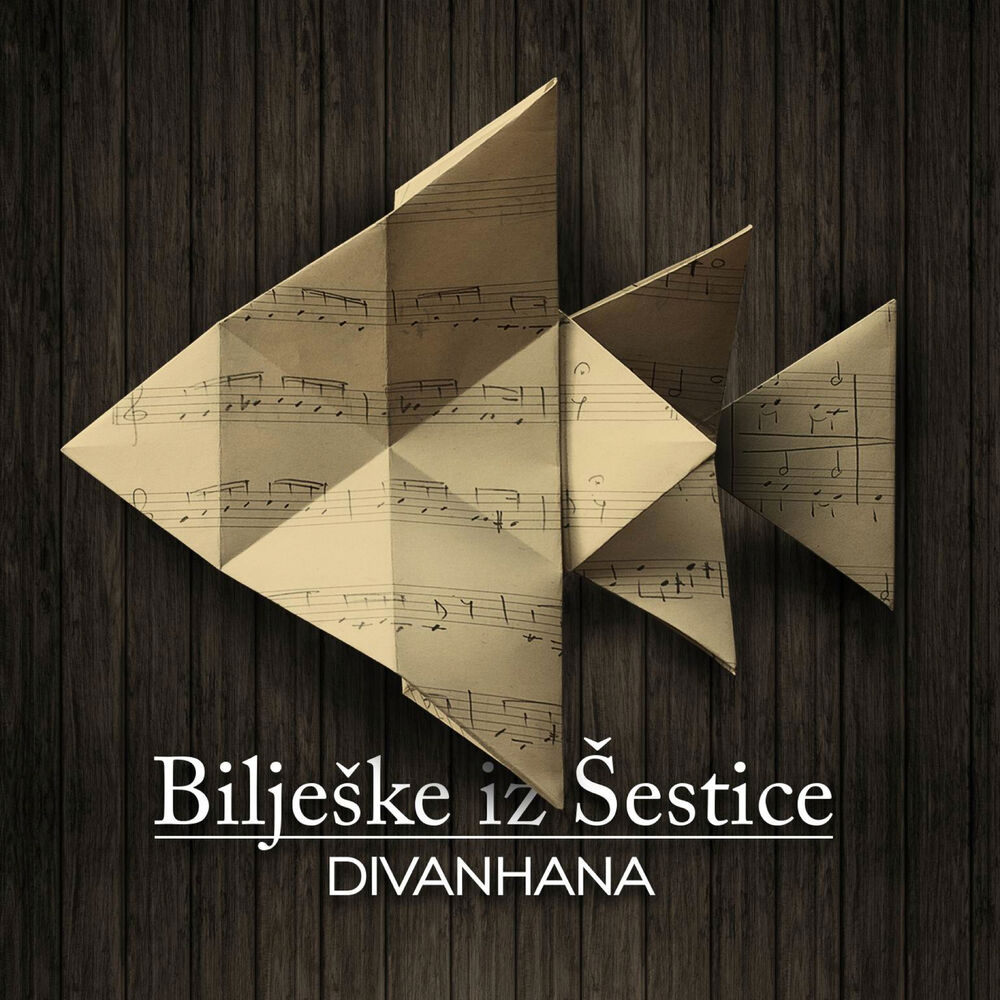 Picture of Bilješke Iz Šestice