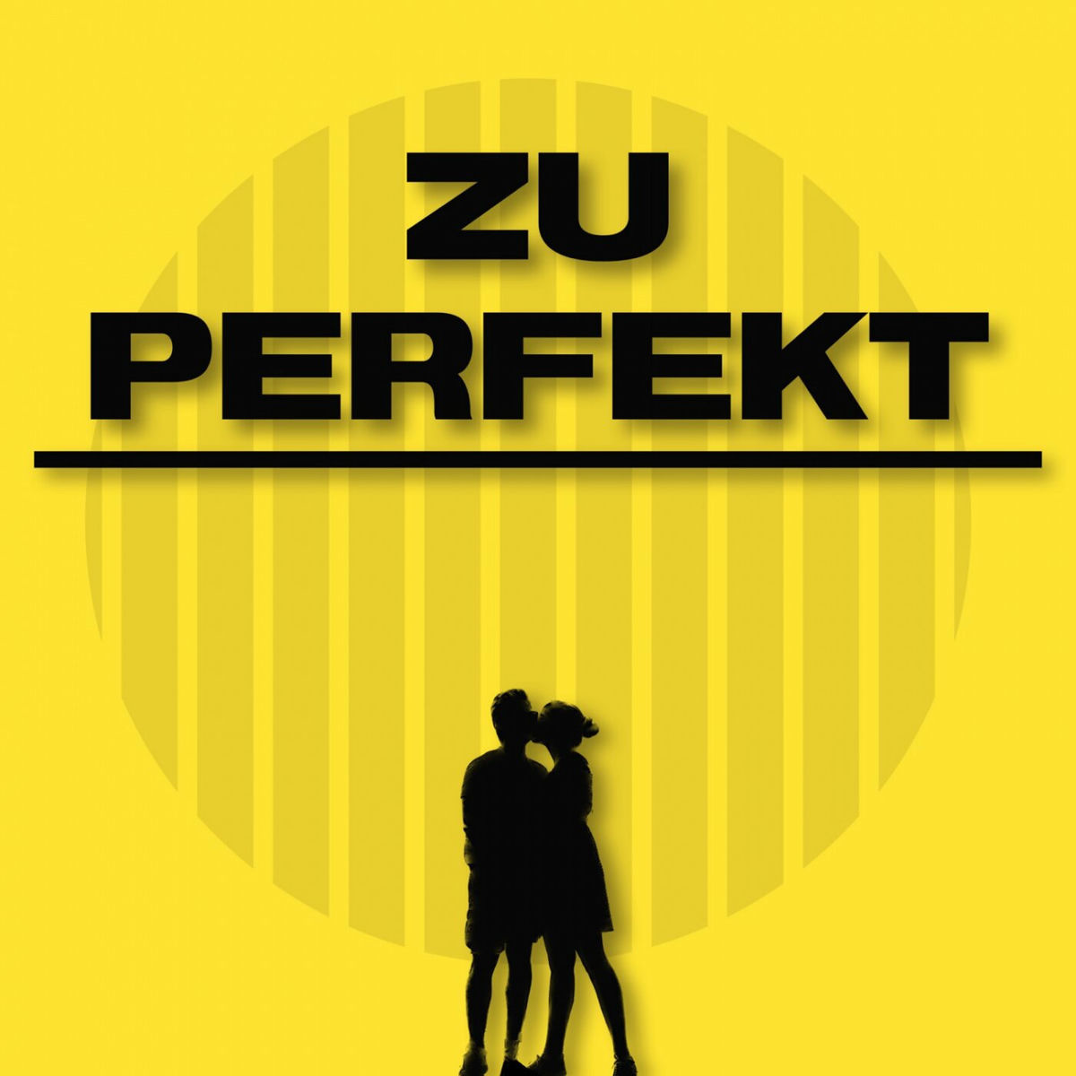 Album cover of Zu perfekt
