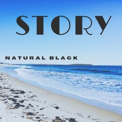 Cover of Story