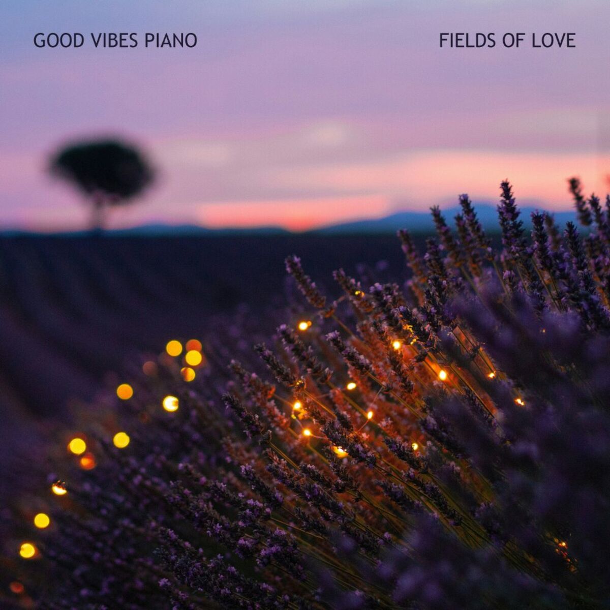 Album cover of Fields Of Love