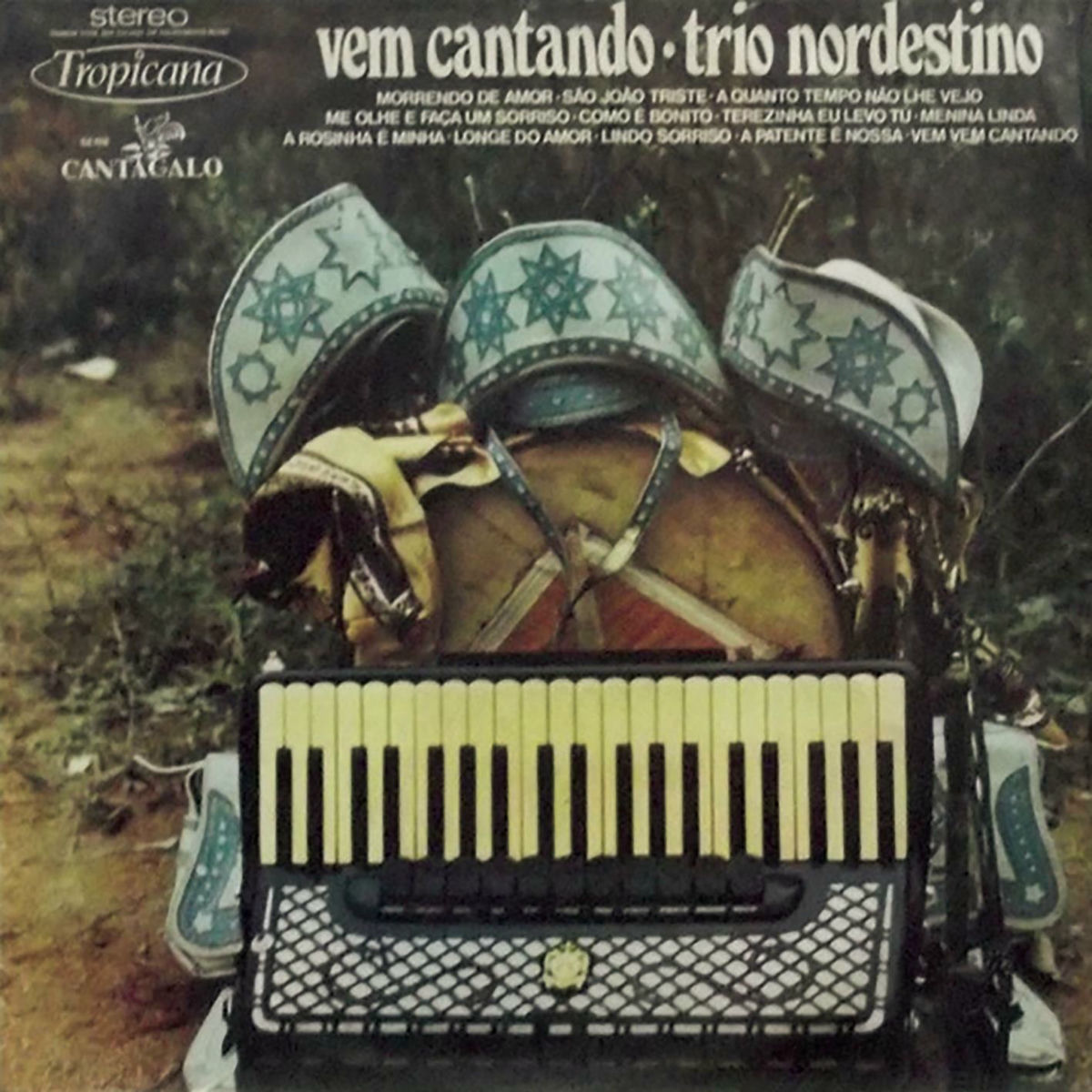 Album cover of Vem Cantando