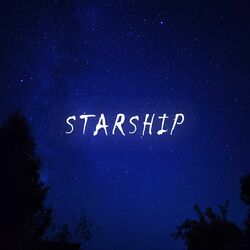 Cover of Starship